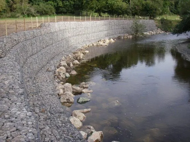 wire mesh rock fence