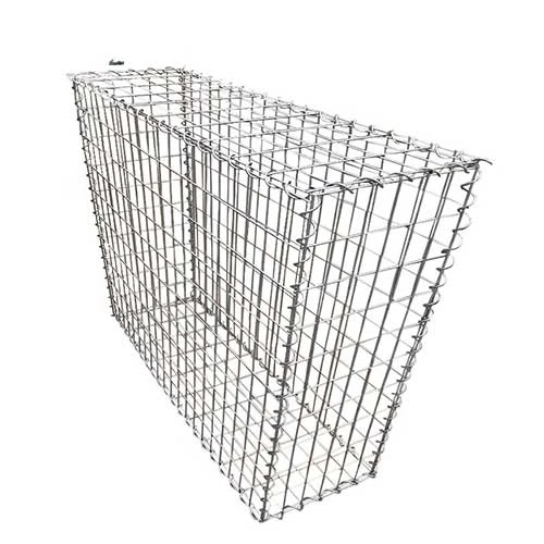 hexagonal chicken wire mesh