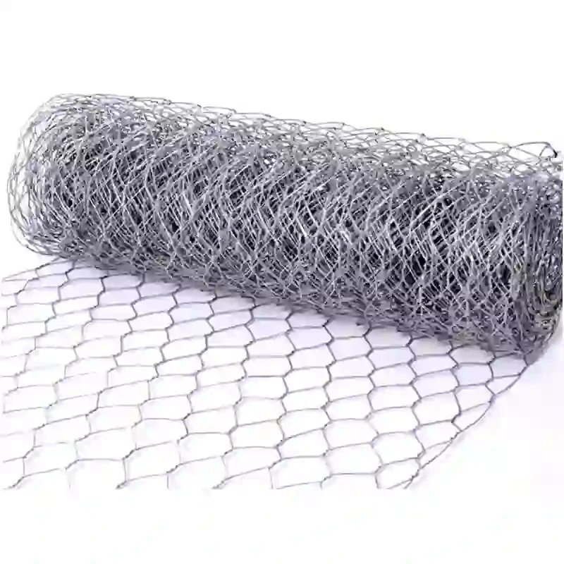 razor wire on fence
