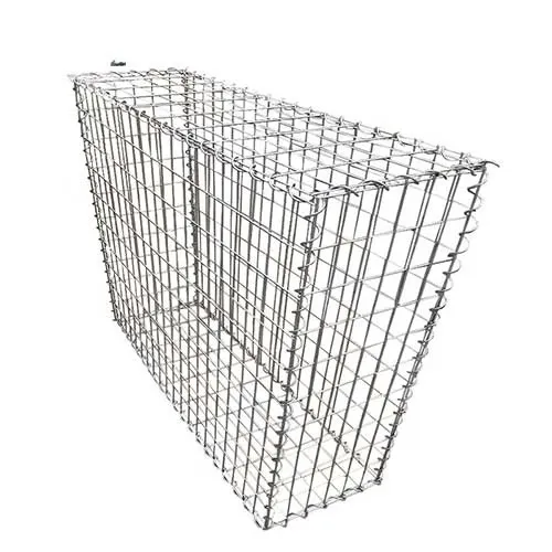 hexagonal mesh wire