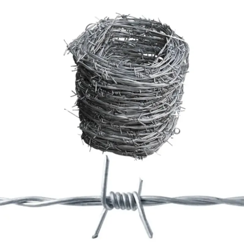 razor wire and barbed wire