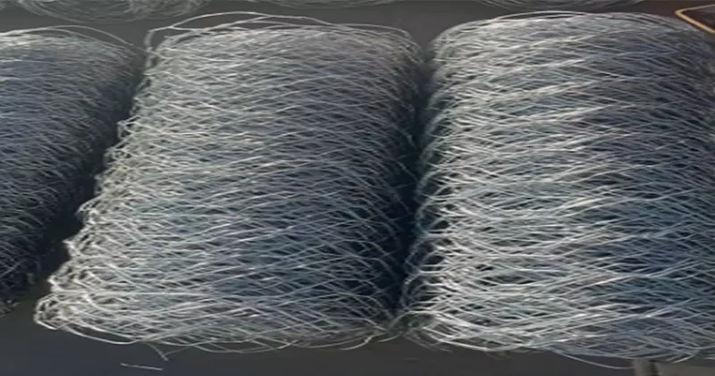 wire barbed fence