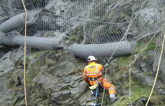 hexagonal mesh wire